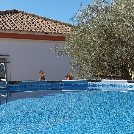 Villa Oasis Los Gallardos Екстериор снимка